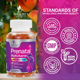 Nature's Nutrition Prenatal Gummies 363g side view of packaging