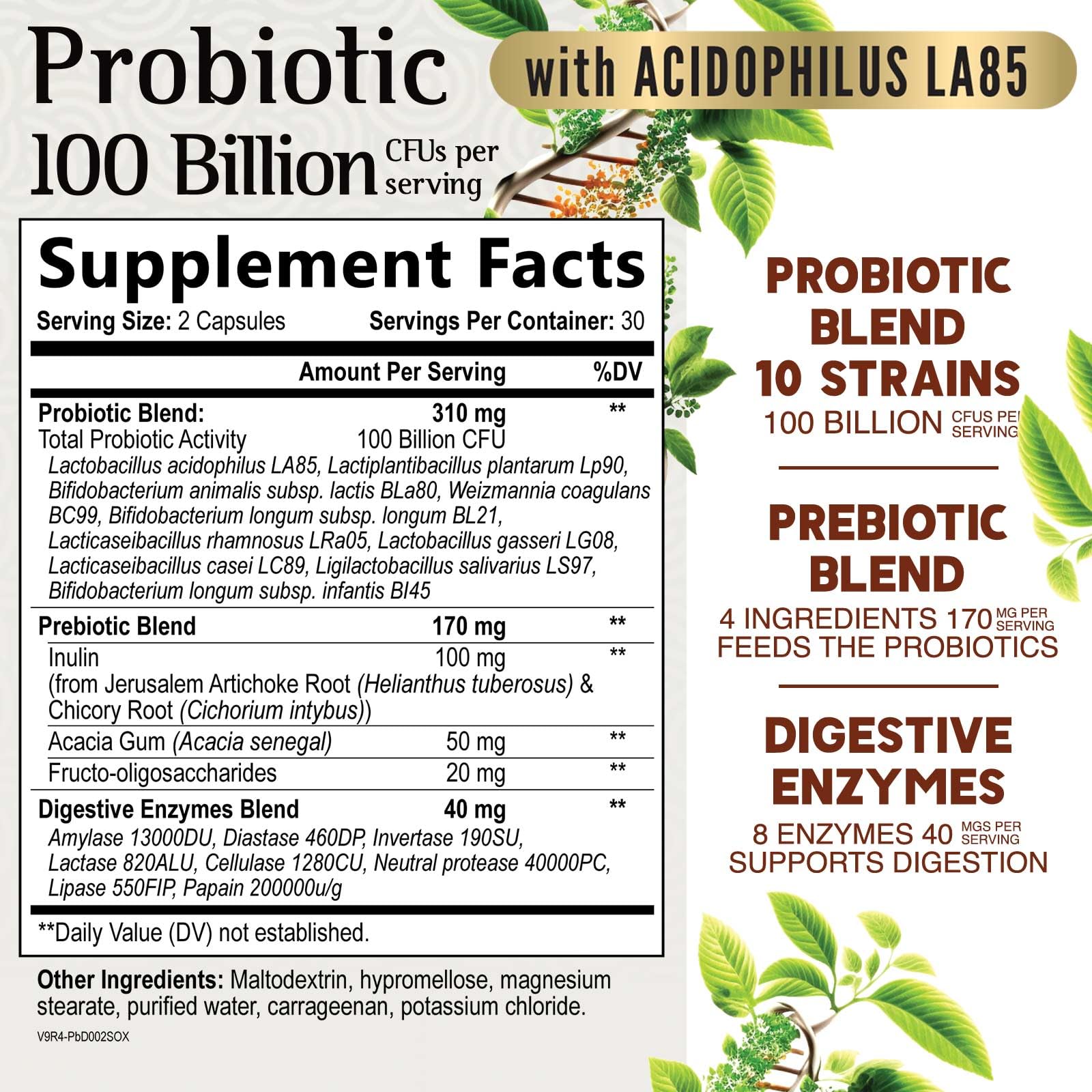 Nature's Nutrition Probiotic Prebiotic Supplement capsule close-up