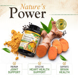 Nature's Nutrition Turmeric Curcumin Complex 1500mg capsules ingredients list