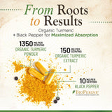 Nature's Nutrition Turmeric Curcumin Complex 1500mg capsules with BioPerine