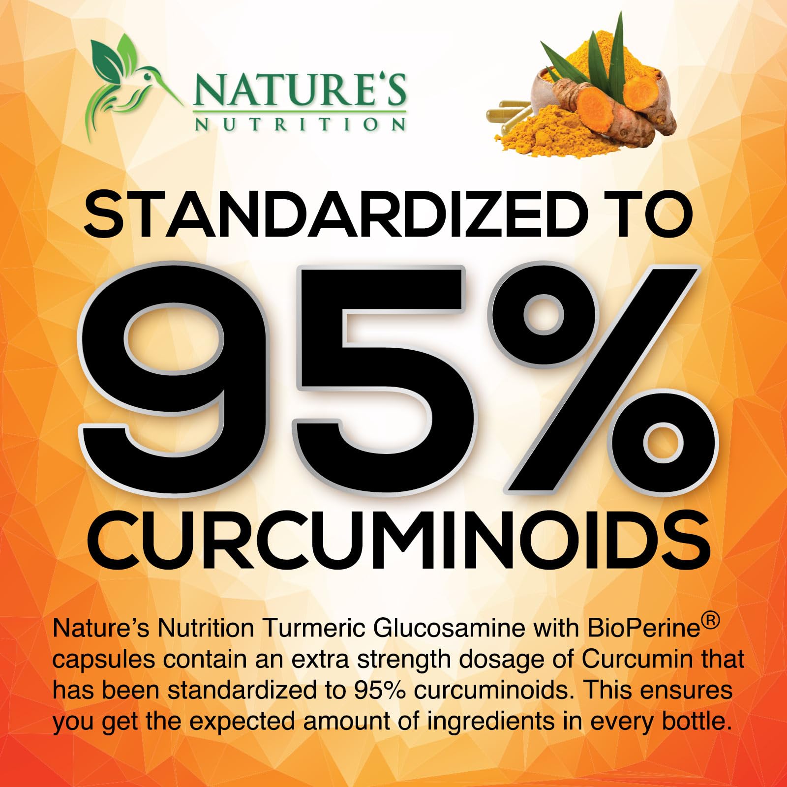 Nature's Nutrition Turmeric Curcumin Complex packaging details