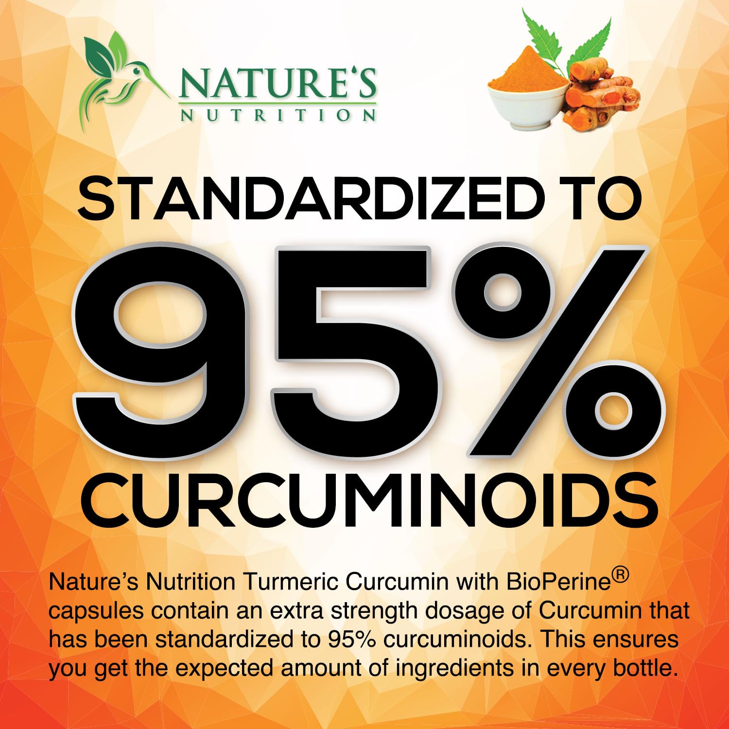 Nature's Nutrition Turmeric Curcumin & Ginger Supplement capsule close-up
