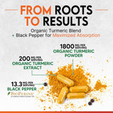 Nature's Nutrition Turmeric Curcumin Supplement 1800mg bottle in a natural setting