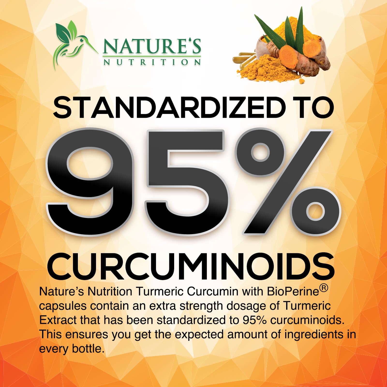 Nature's Nutrition Turmeric Curcumin Supplement 2400mg bottle with label