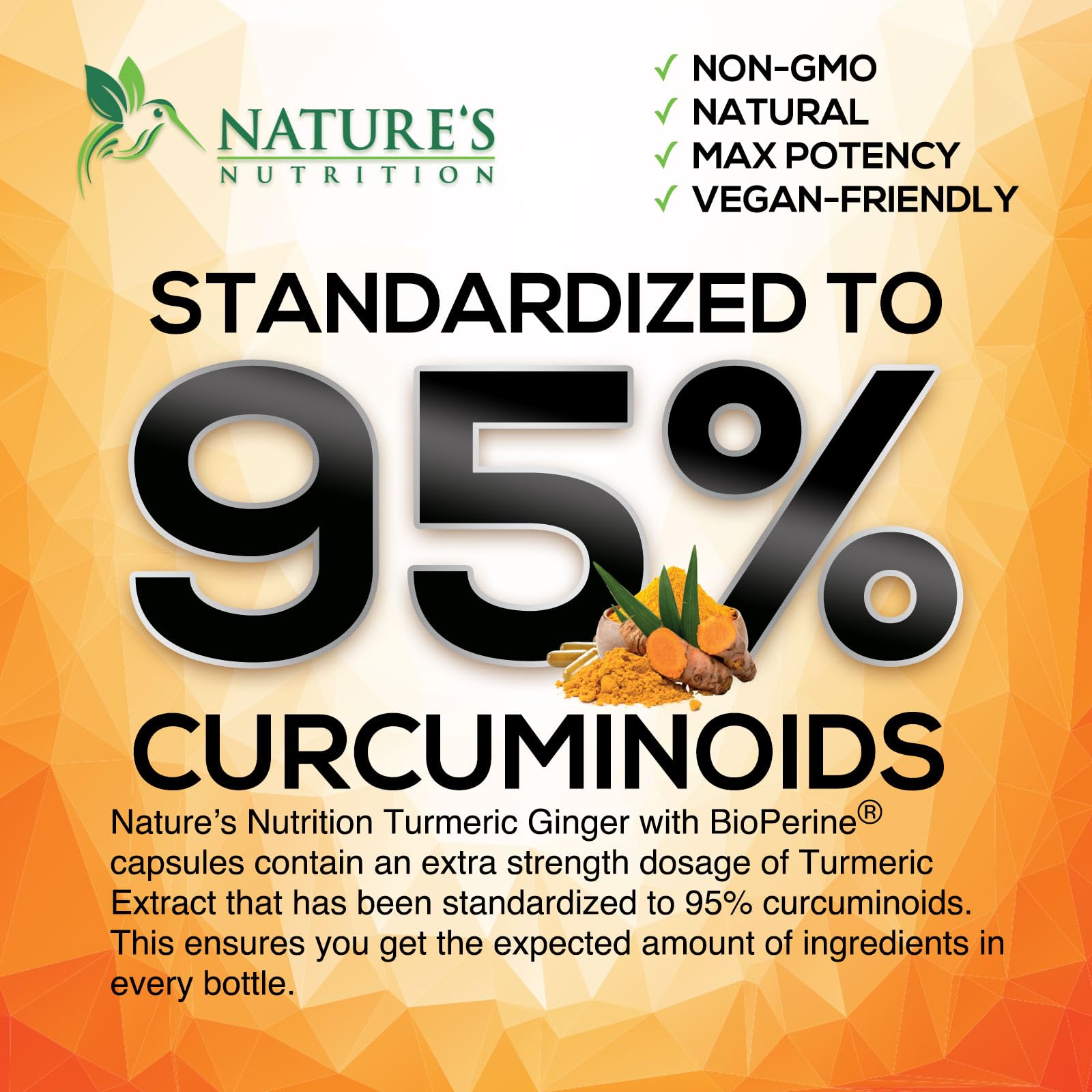 Nature's Nutrition Turmeric Curcumin Supplement bottle with ginger