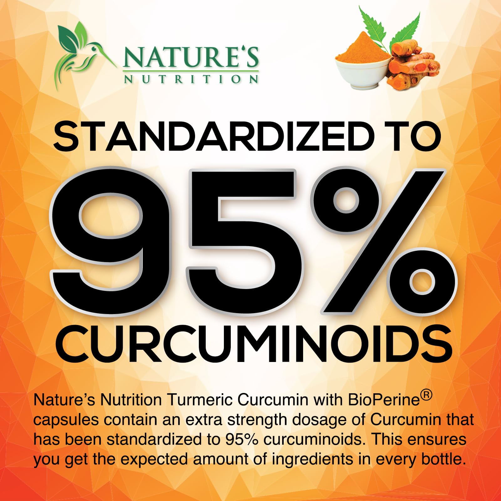 Nature's Nutrition Turmeric Curcumin Supplement ingredients list