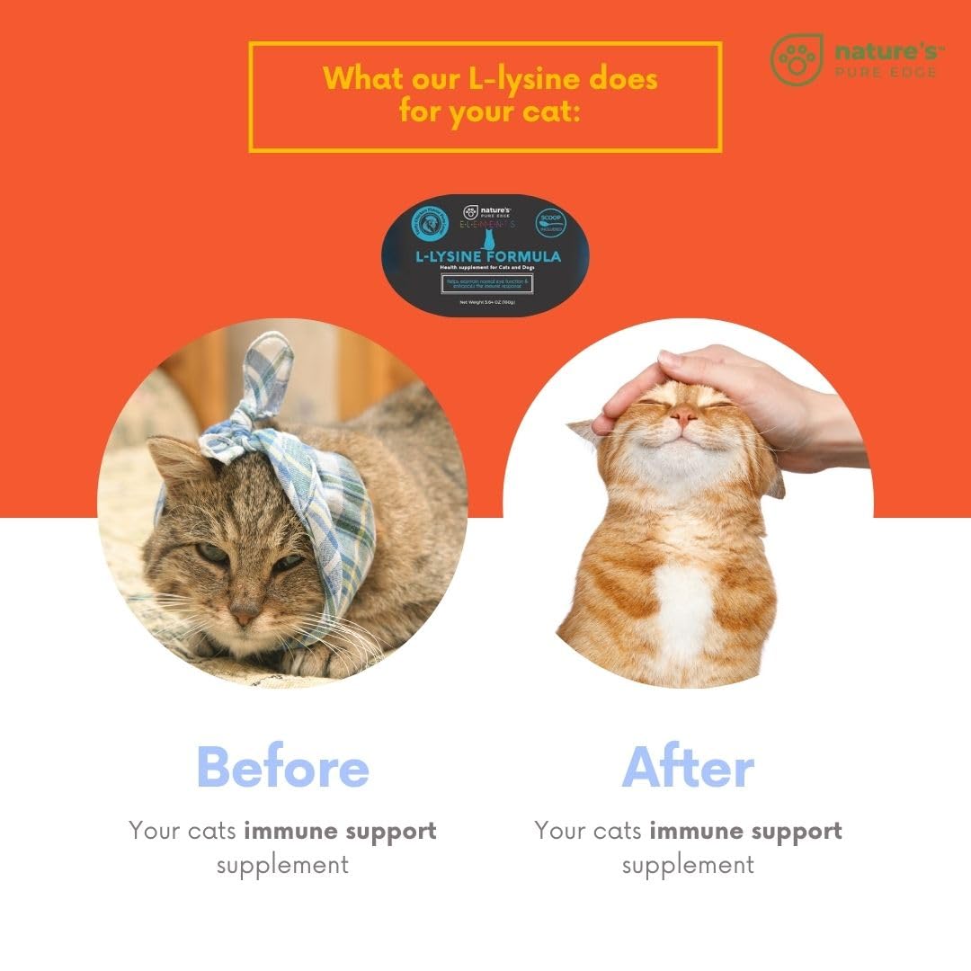 Nature's Pure Edge L-Lysine Powder being mixed with pet food
