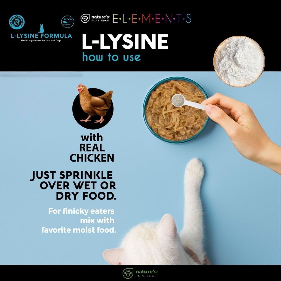 Nature's Pure Edge L-Lysine Powder in a bowl for pets