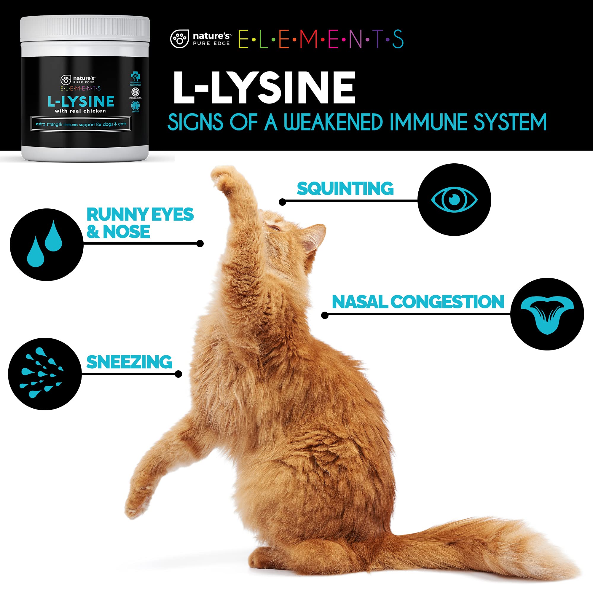 Nature's Pure Edge L-Lysine Powder scooped out