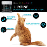 Nature's Pure Edge L-Lysine Powder scooped out