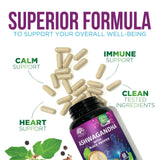 Nature's Strength Ashwagandha Capsules with a measuring spoon