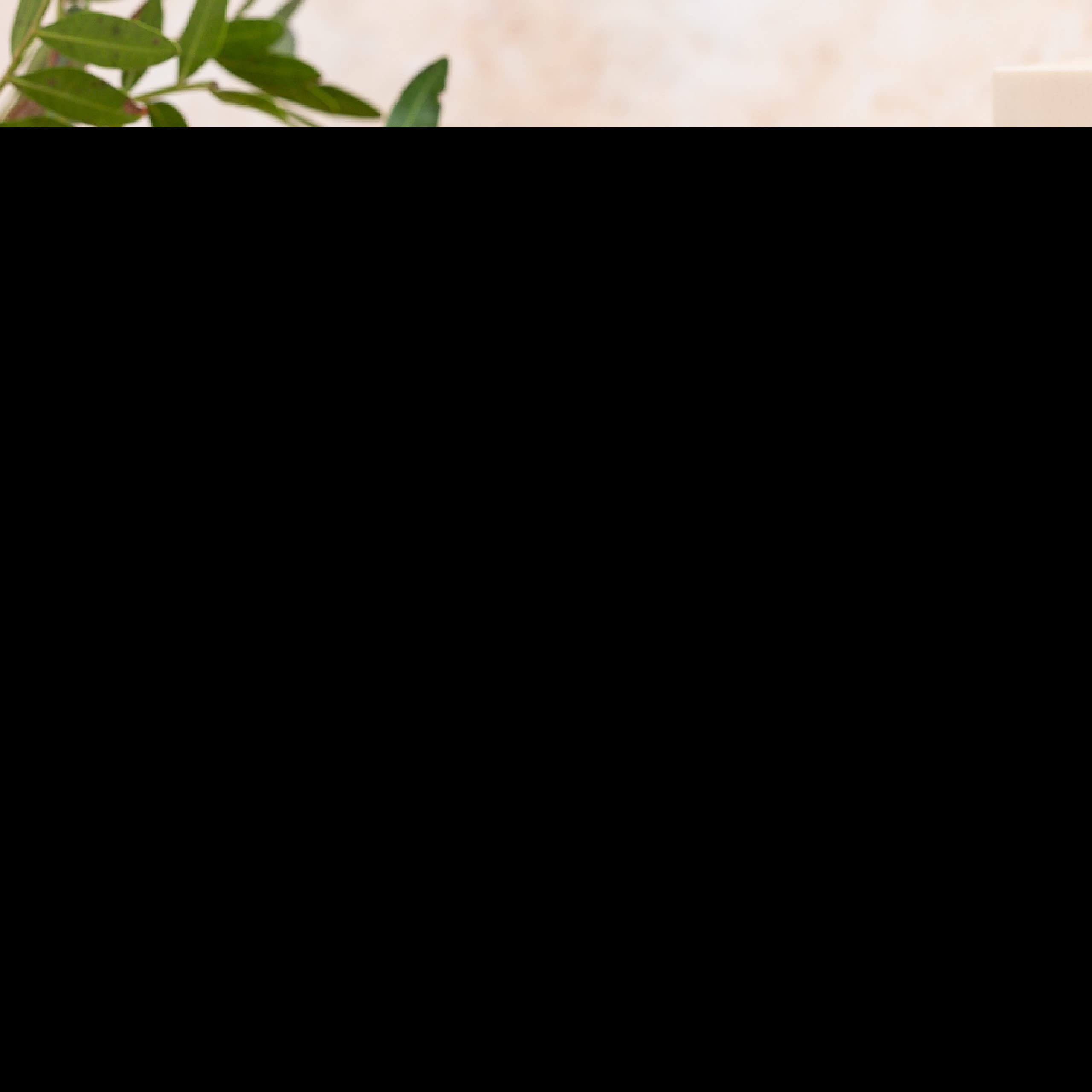 Nature's Sunshine Ashwagandha Supplement capsule close-up