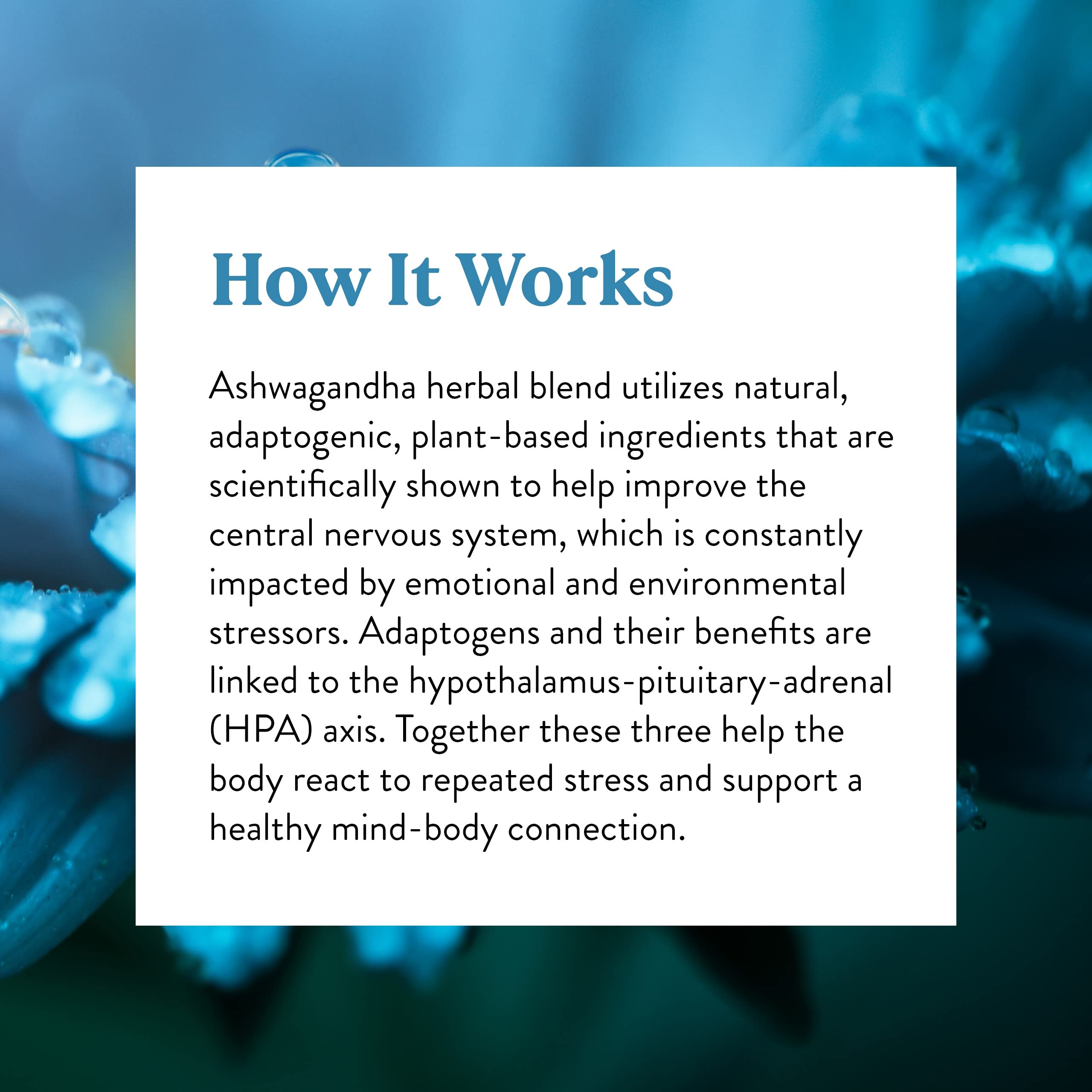 Nature's Sunshine Ashwagandha Supplement in a lifestyle setting