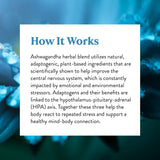 Nature's Sunshine Ashwagandha Supplement in a lifestyle setting