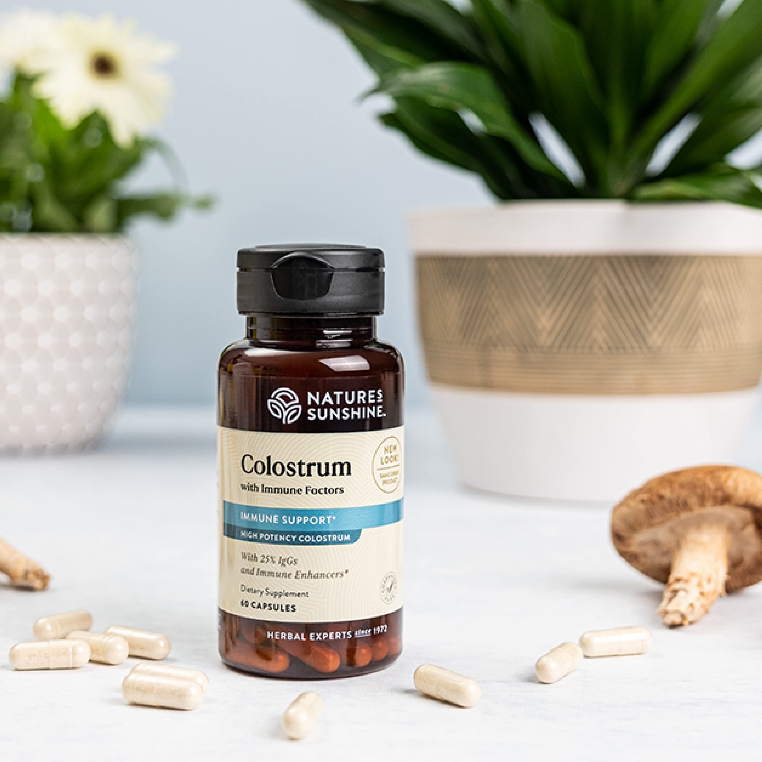 Nature's Sunshine Blended Vitamin & Mineral Supplement 60g packaging