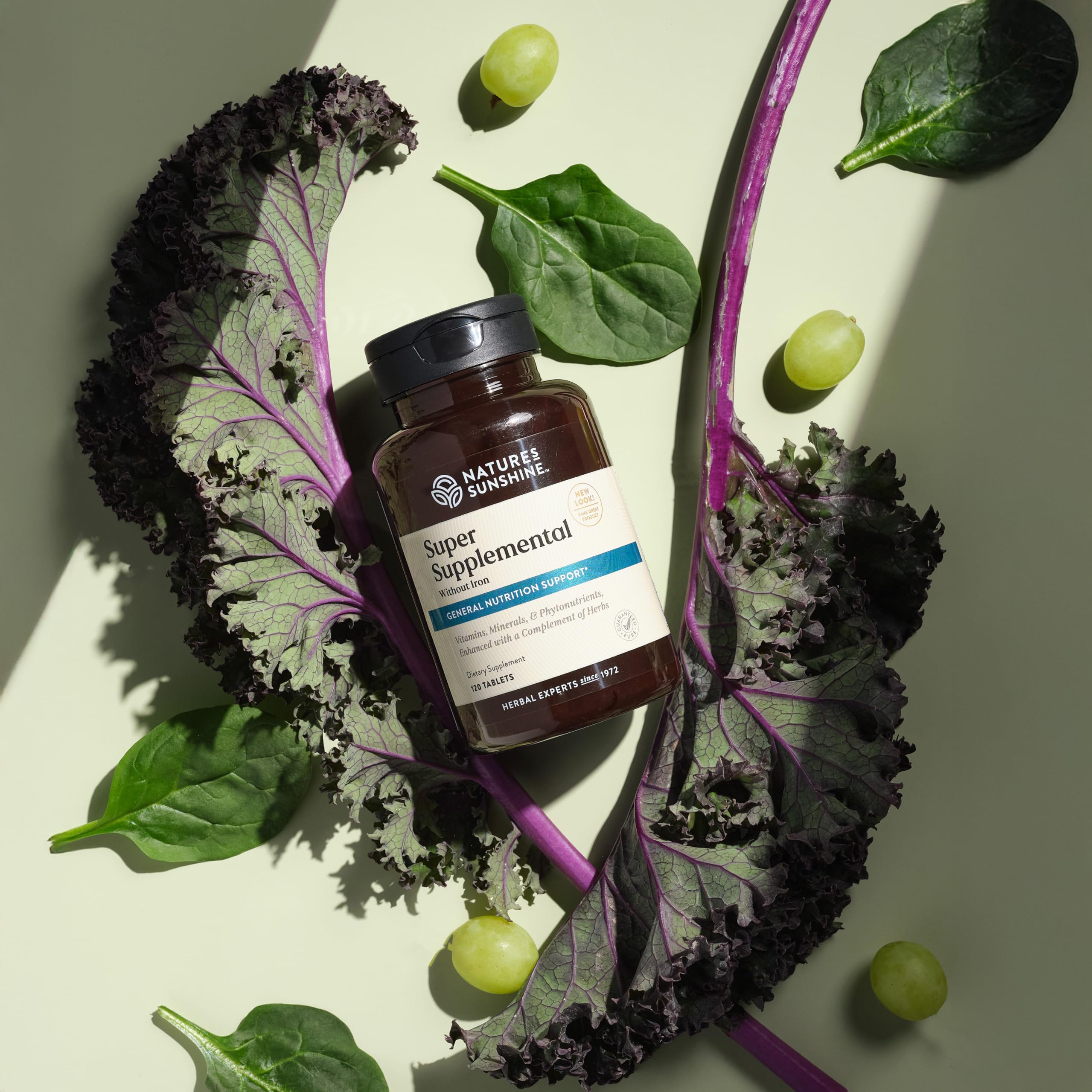 Nature's Sunshine Blended Vitamin & Mineral Supplement ingredients list