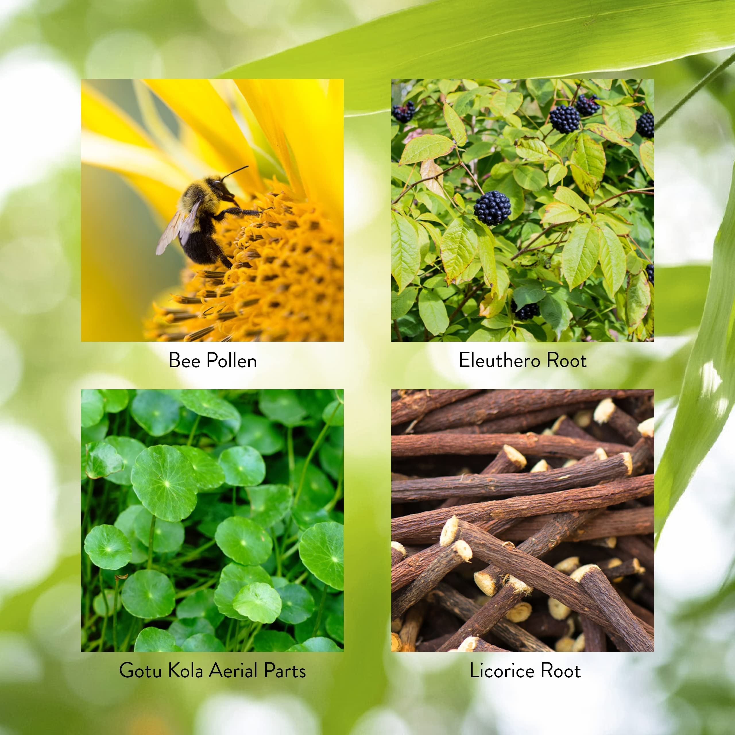 Nature's Sunshine Blended Vitamin & Mineral Supplement packaging
