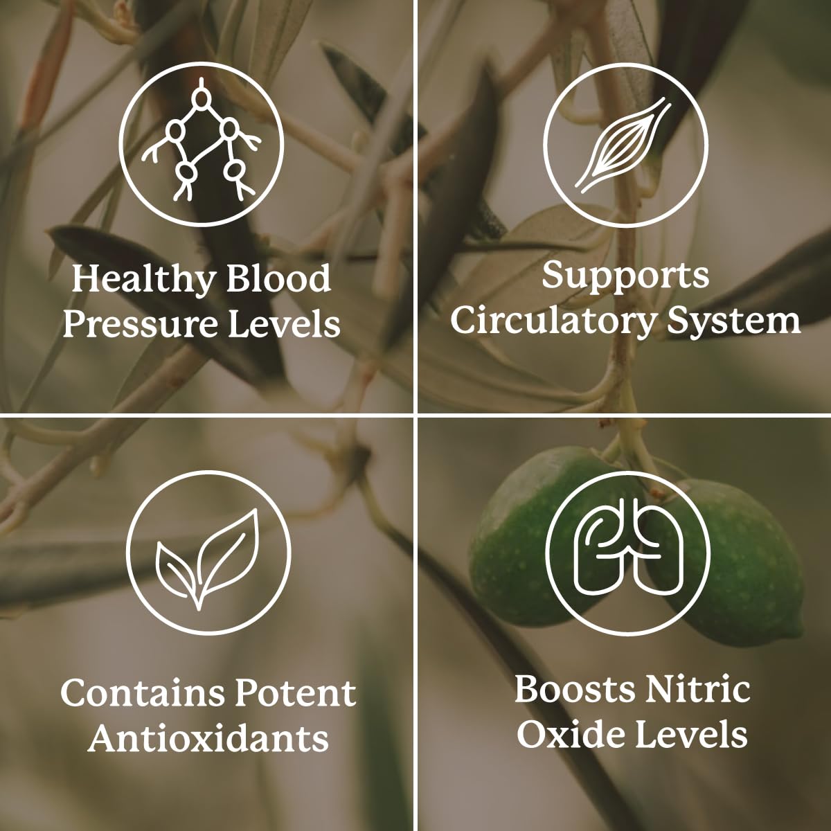 Nature's Sunshine Blood Pressurex 59g with ingredients list