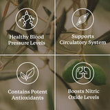 Nature's Sunshine Blood Pressurex 59g with ingredients list