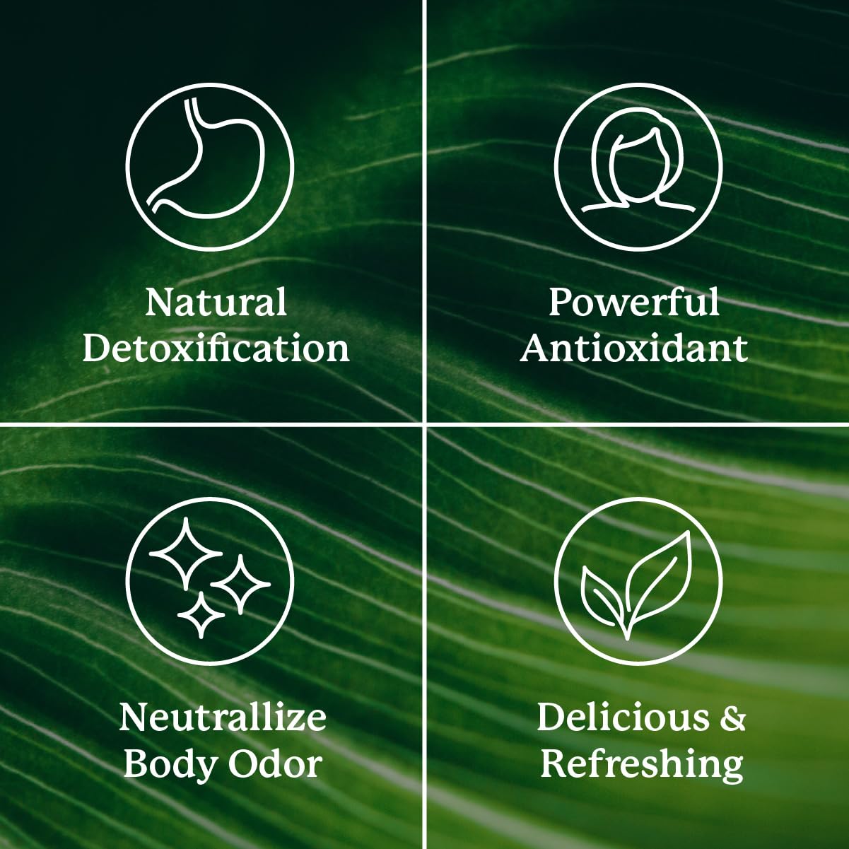 Nature's Sunshine Chlorophyll Capsules 50g packaging with dimensions