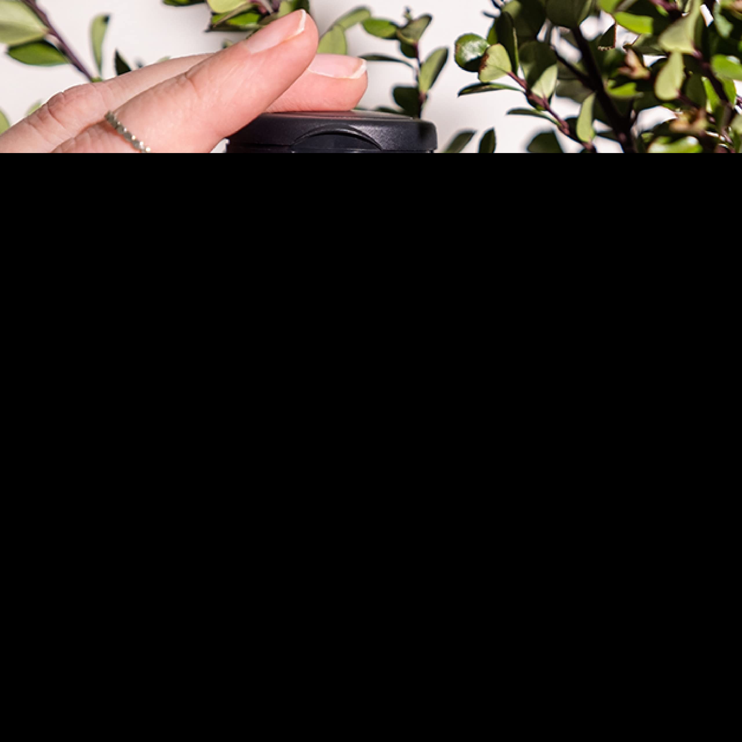 Nature's Sunshine GABA Capsules side view showing ingredient list