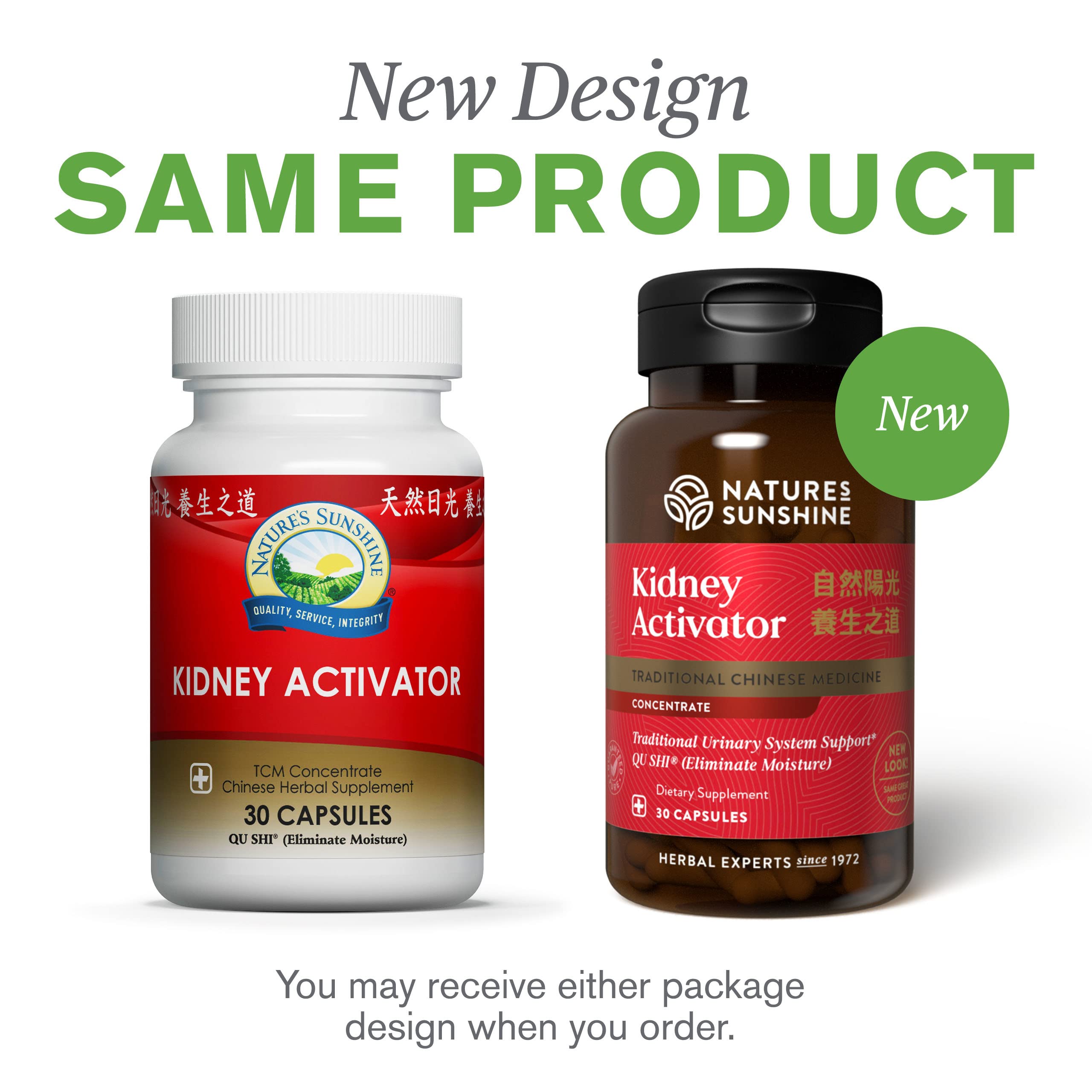 Nature's Sunshine Kidney Activator TCM Concentrate back view