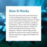 Nature's Sunshine Kidney Activator TCM Concentrate in a lifestyle setting