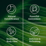 Nature's Sunshine Liquid Chlorophyll 522g back view with ingredients
