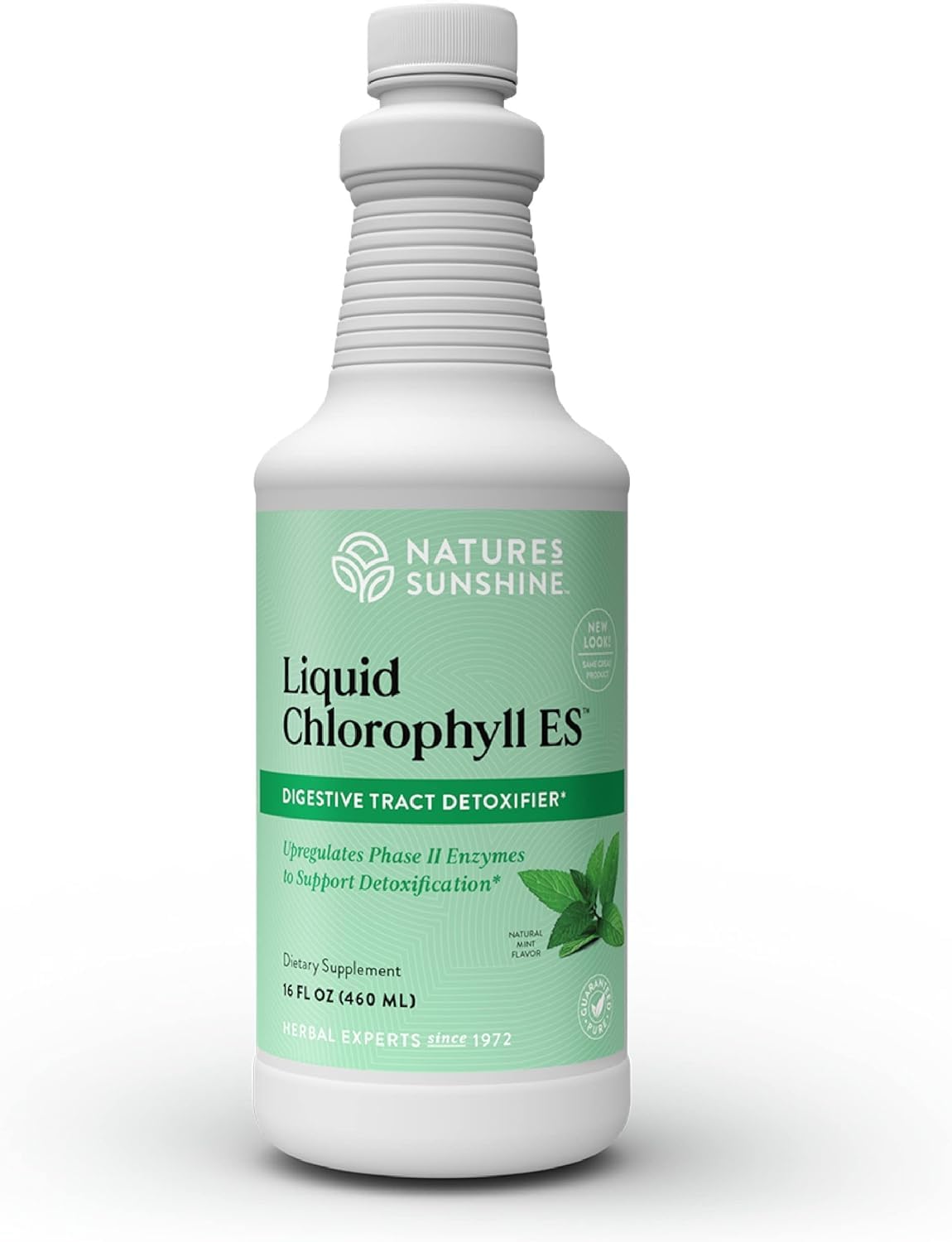 Nature's Sunshine Liquid Chlorophyll 522g front view