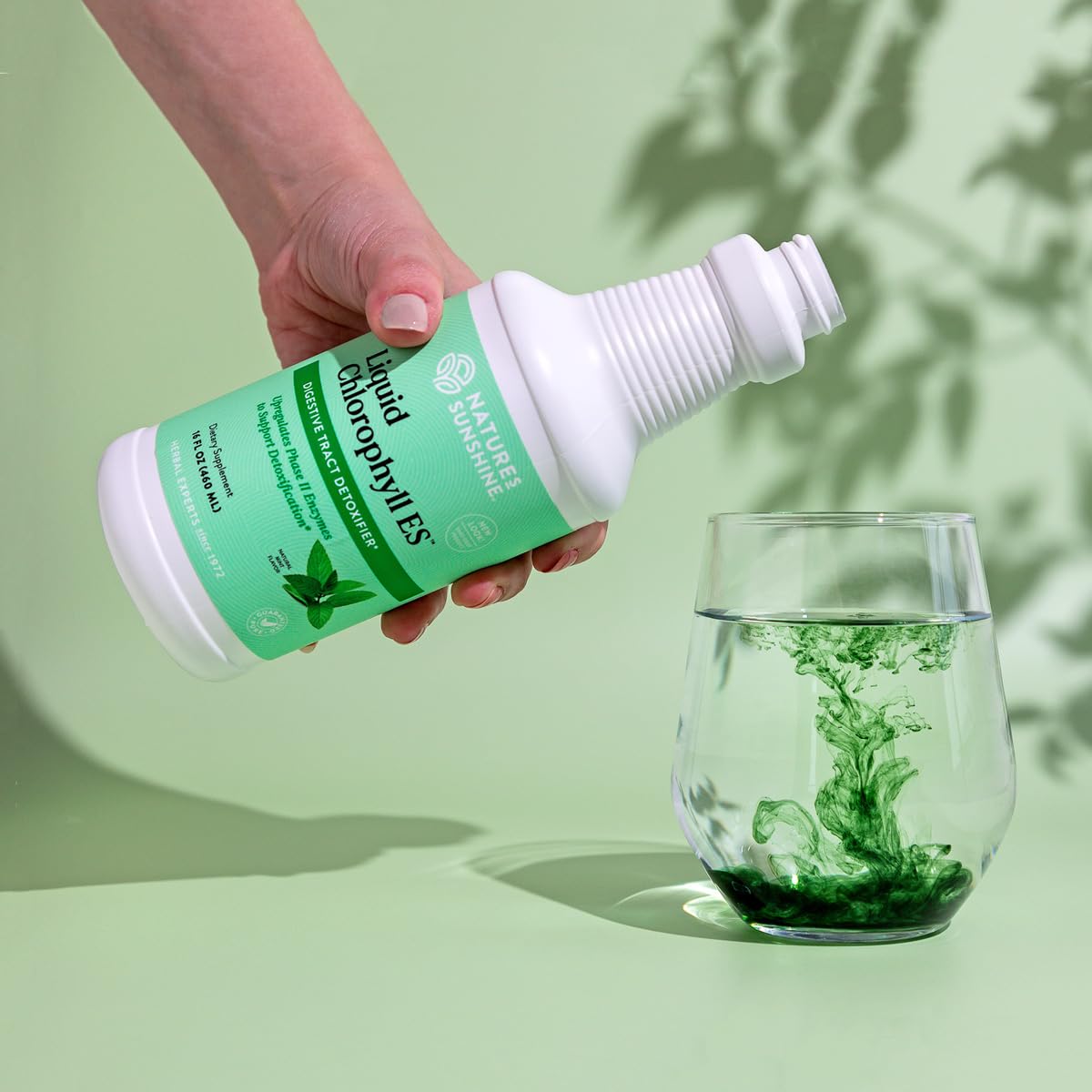 Nature's Sunshine Liquid Chlorophyll 522g packaging details