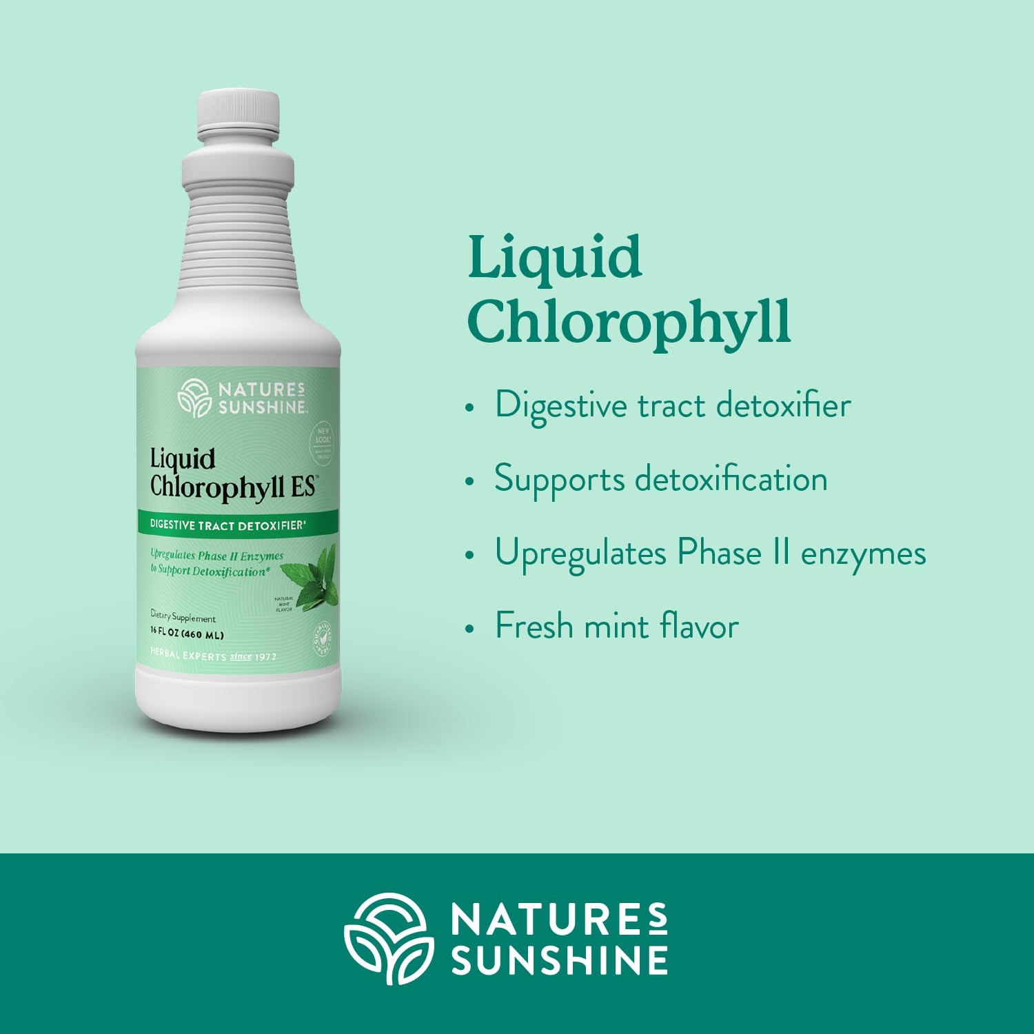 Nature's Sunshine Liquid Chlorophyll 522g side view showing label