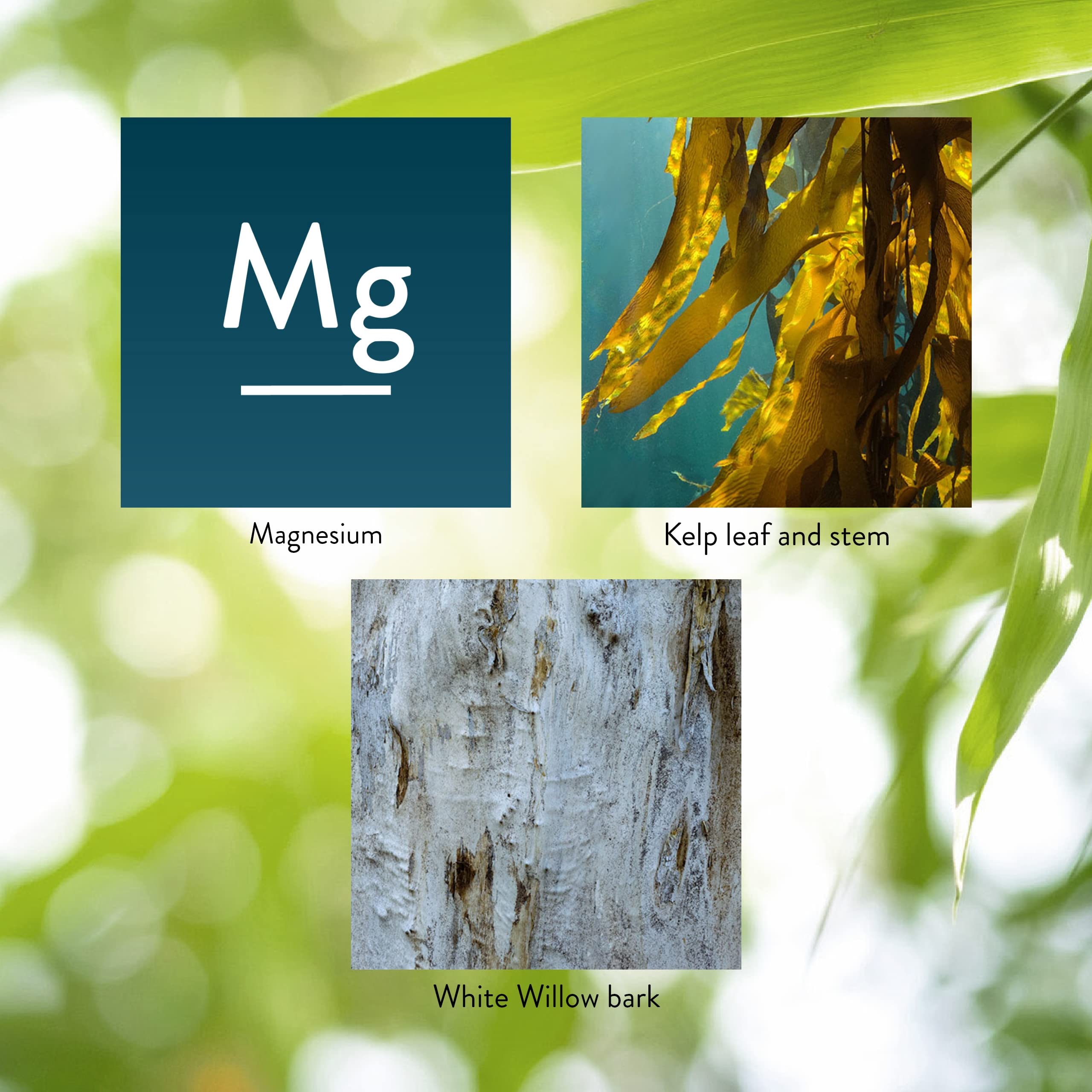 Nature's Sunshine Magnesium Supplement 250mg natural ingredients close-up