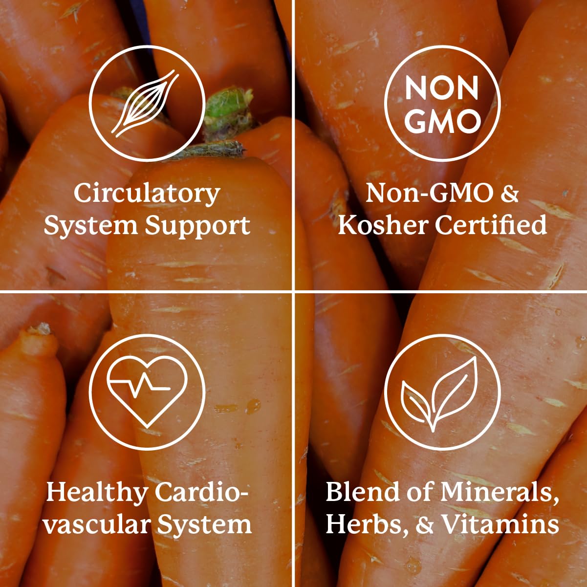 Nature's Sunshine Mega-Chel Mineral Supplement capsule close-up
