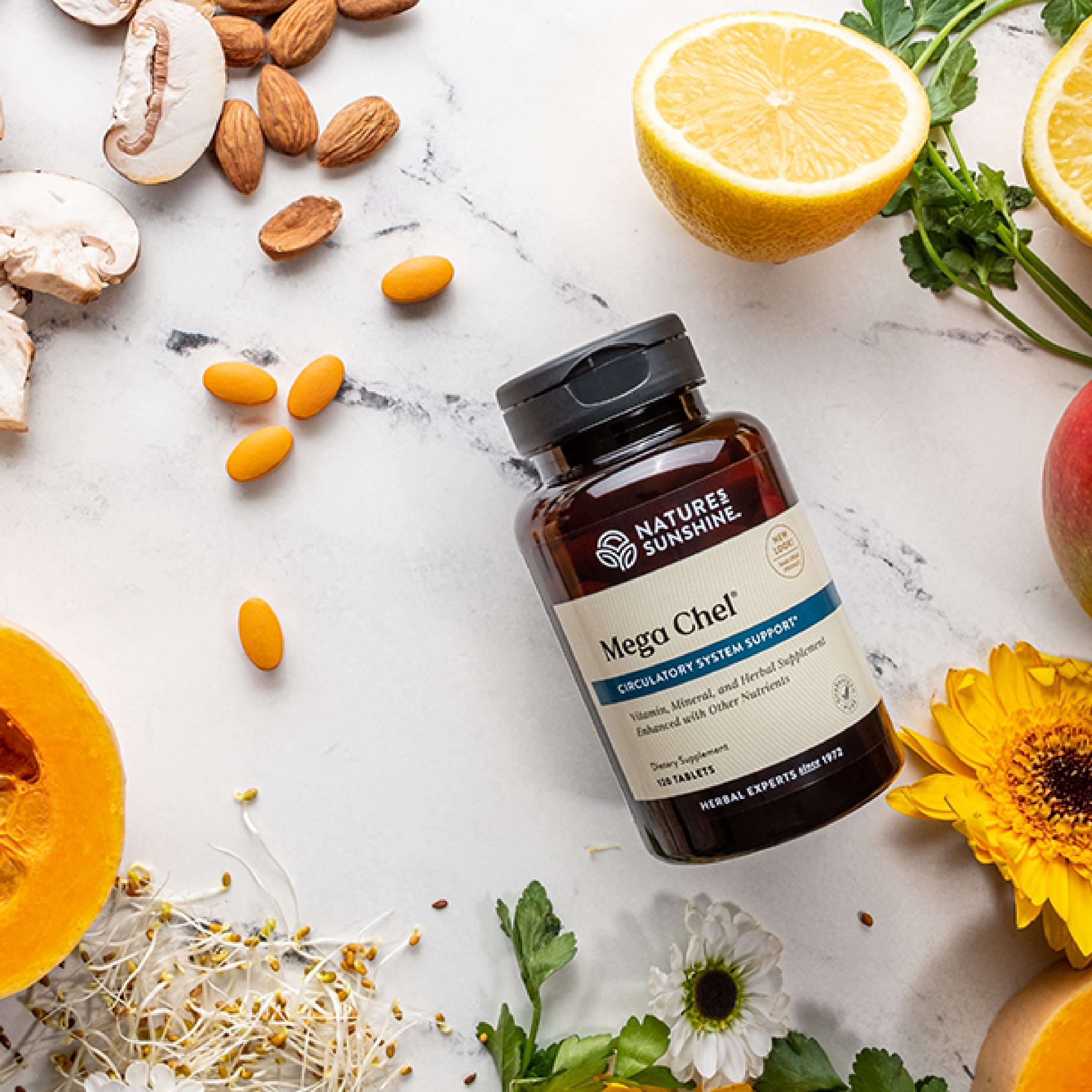 Nature's Sunshine Mega-Chel Mineral Supplement ingredients list