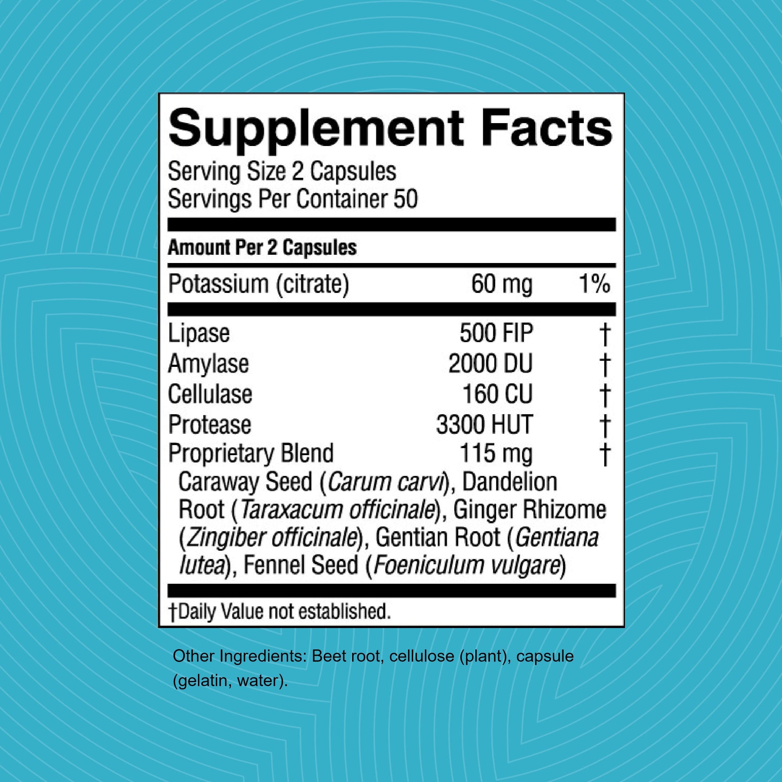 Nature's Sunshine Multi-Enzymes 91g back view
