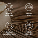 Nature's Sunshine Proactazyme ingredients list close-up