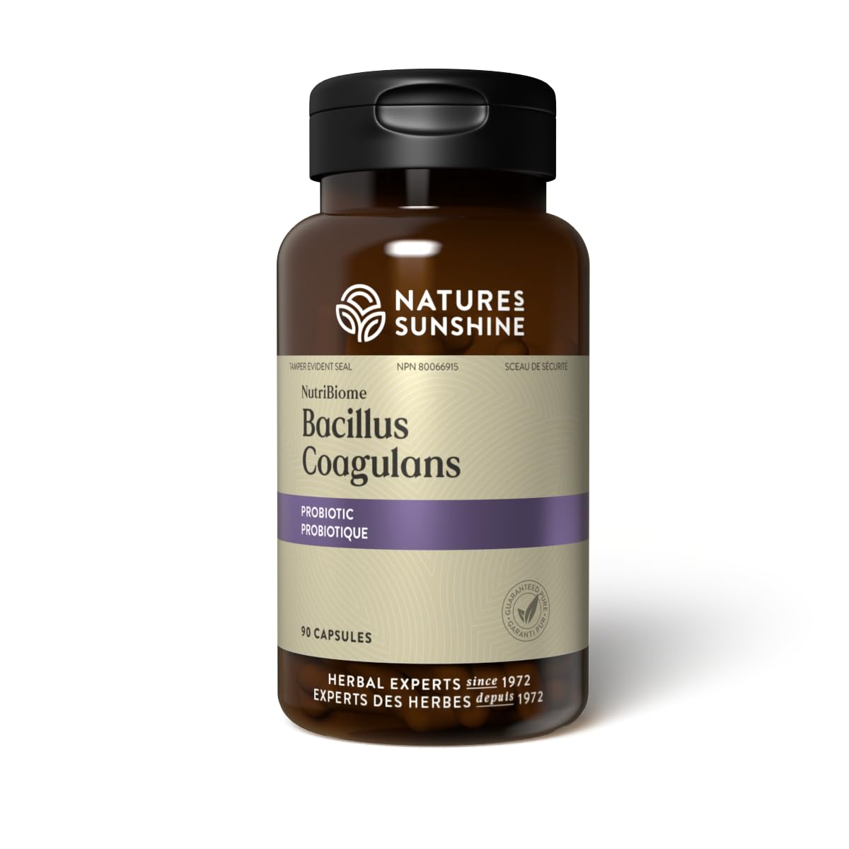 Nature's Sunshine Probiotic Acidophilus 59g front view