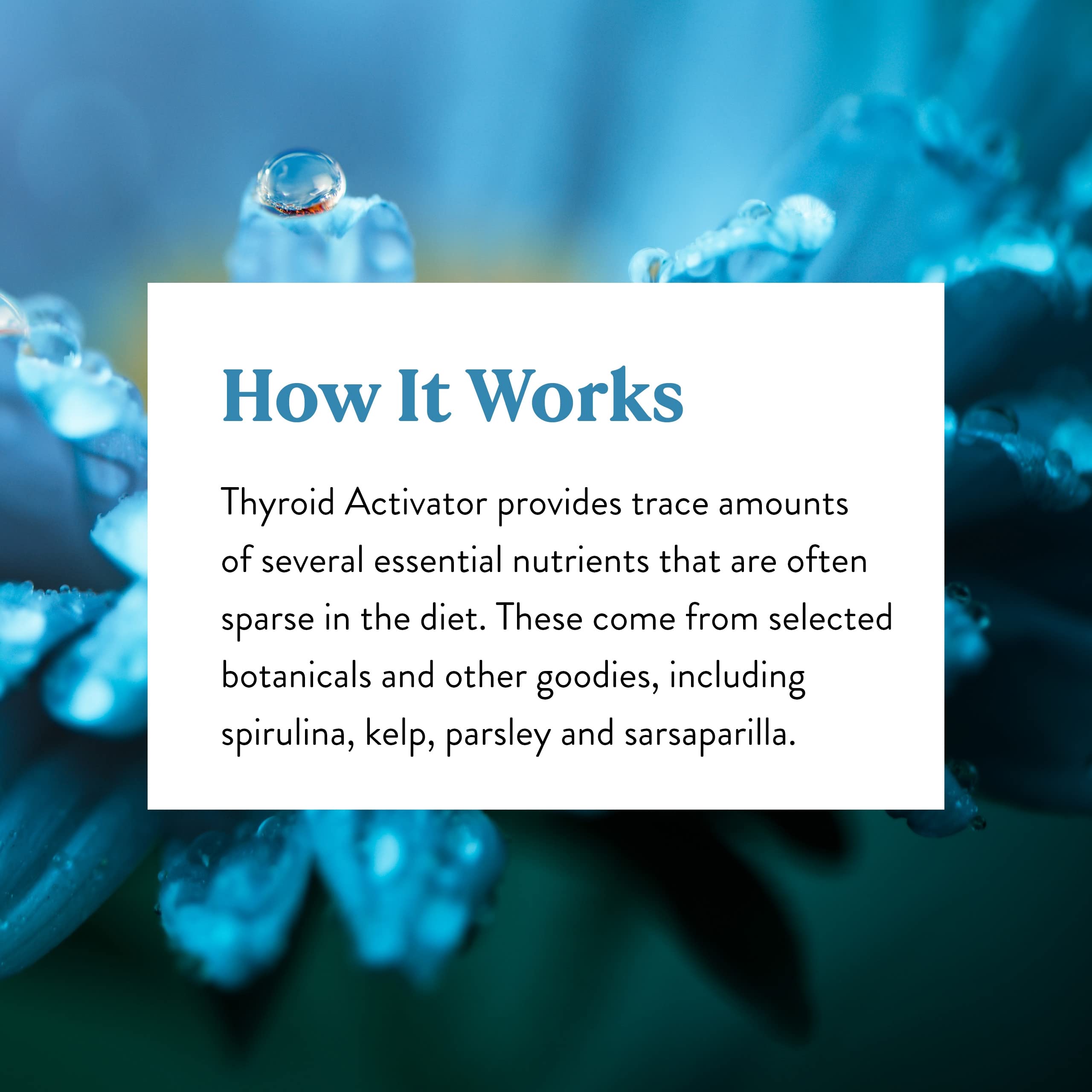 Nature's Sunshine Thyroid Extract 45g on a table