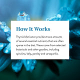 Nature's Sunshine Thyroid Extract 45g on a table