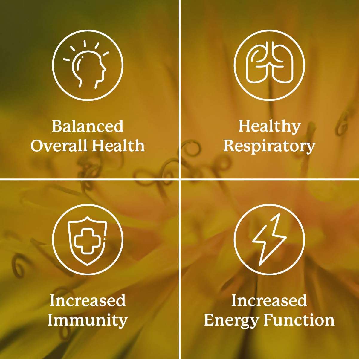Nature's Sunshine VS-C TCM Supplement packaging