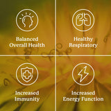 Nature's Sunshine VS-C TCM Supplement packaging