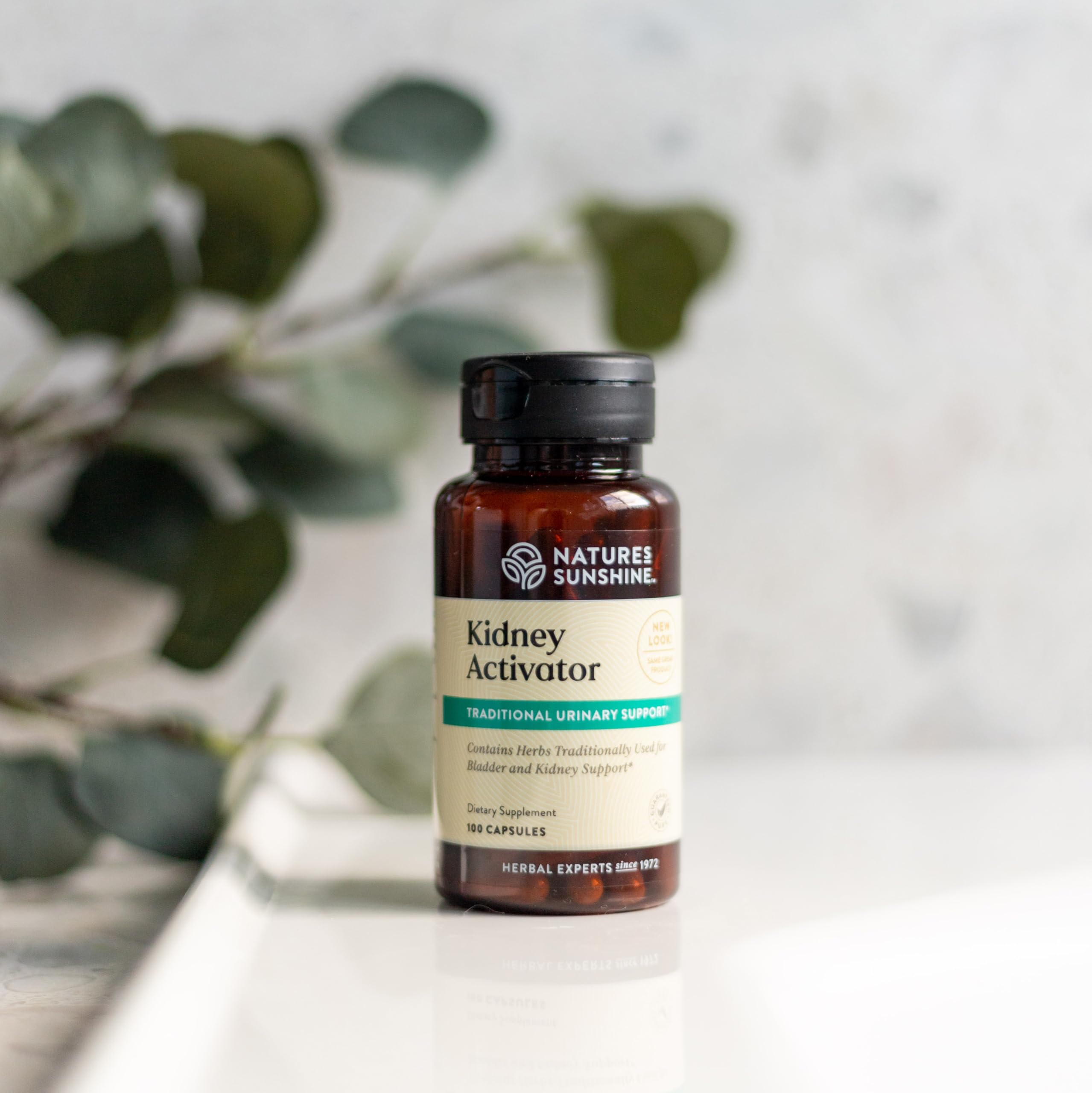 Nature's Sunshine Water Balance Supplement ingredients close-up