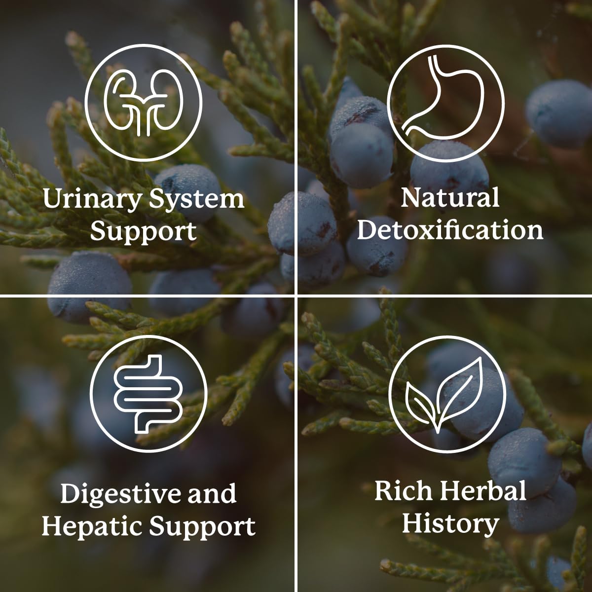 Nature's Sunshine Water Balance Supplement packaging