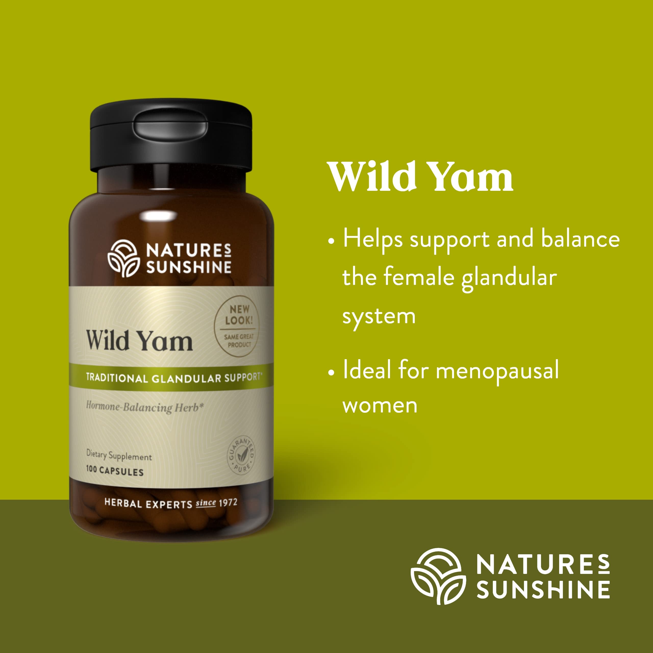 Nature's Sunshine Wild Yam Root Supplement capsule close-up