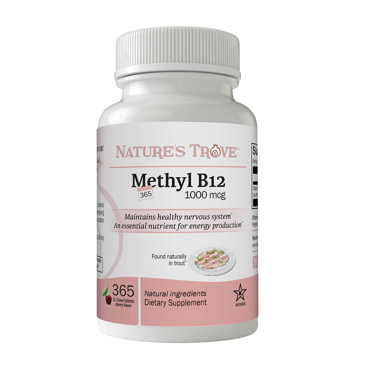 Nature's Trove Vitamin B12 Methylcobalamin 1000mcg chewable tablets front view
