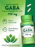 Nature's Truth GABA Quick Release Capsules with measuring spoon