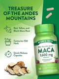 Nature's Truth Maca Root Capsules with a measuring spoon
