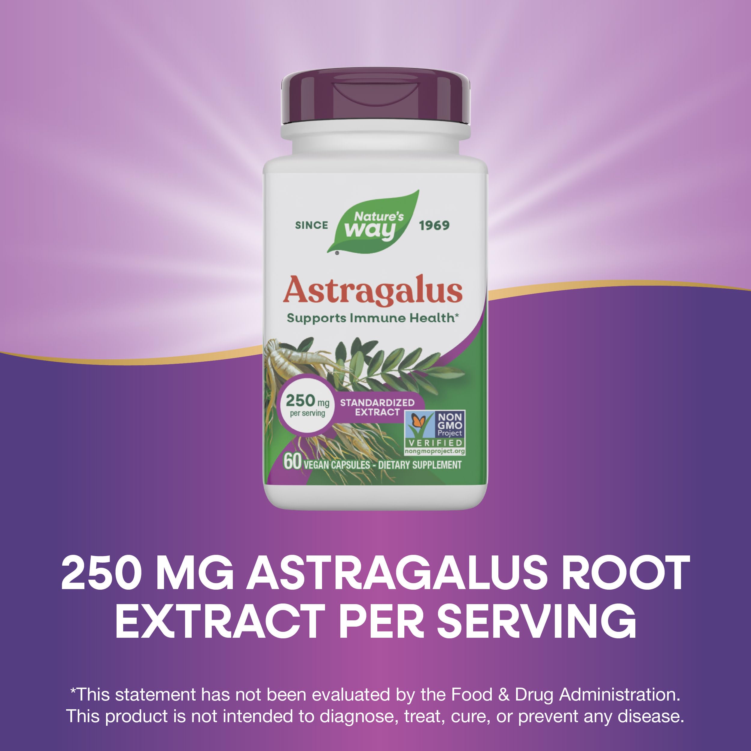 Nature's Way Astragalus Premium Extract 250mg bottle with label