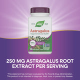 Nature's Way Astragalus Premium Extract 250mg bottle with label