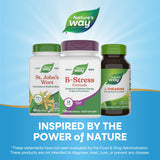 Nature's Way B-Stress Formula 136g packaging details